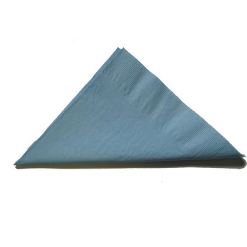 2,000x Napkins Light Blue Lunch Dinner Picnic Snacks 2ply 30cm x 30cm