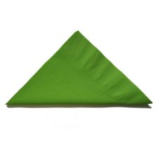 2,000x Napkins Lime Green Lunch Dinner Picnic Snacks 2ply 30cm x 30cm