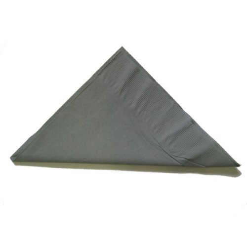 2,000x Napkins Silver Lunch Dinner Picnic Snacks 2ply 30cm x 30cm