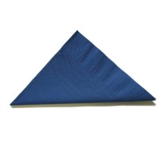 2,000x Napkins Dark Blue Lunch Dinner Picnic Snacks 2ply 30cm x 30cm