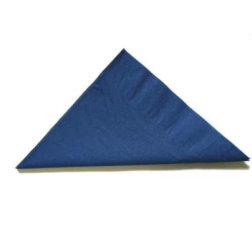 2,000x Napkins Dark Blue Lunch Dinner Picnic Snacks 2ply 30cm x 30cm