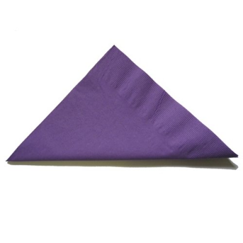 2,000x Napkins Purple Lunch Dinner Picnic Snacks 2ply 30cm x 30cm