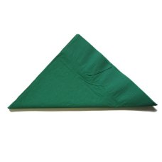 2,000x Napkins Dark Green Lunch Dinner Picnic Snacks 2ply 30cm x 30cm
