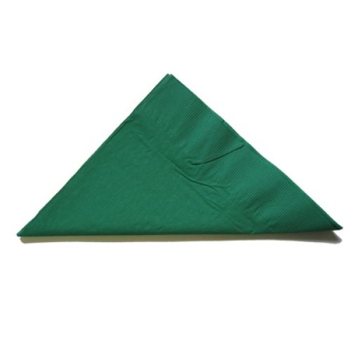 2,000x Napkins Dark Green Lunch Dinner Picnic Snacks 2ply 30cm x 30cm