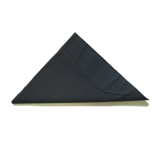 2,000x Napkins Black Lunch Dinner Picnic Snacks 2ply 30cm x 30cm