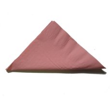 1,000x Napkins Light Pink Dinner Lunch Picnic Snacks 2ply 40cm x 40cm