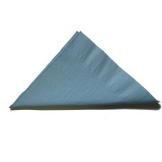 1,000x Napkins Light Blue Dinner Lunch Picnic Snacks 2ply 40cm x 40cm