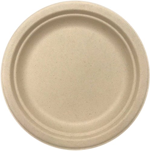 100x Sugar Cane Plates 18cm Round Natural Compostable Biodegradable