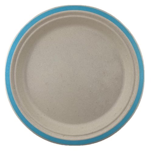Sugarcane Dinner Plates 230mm Light Blue P10x10